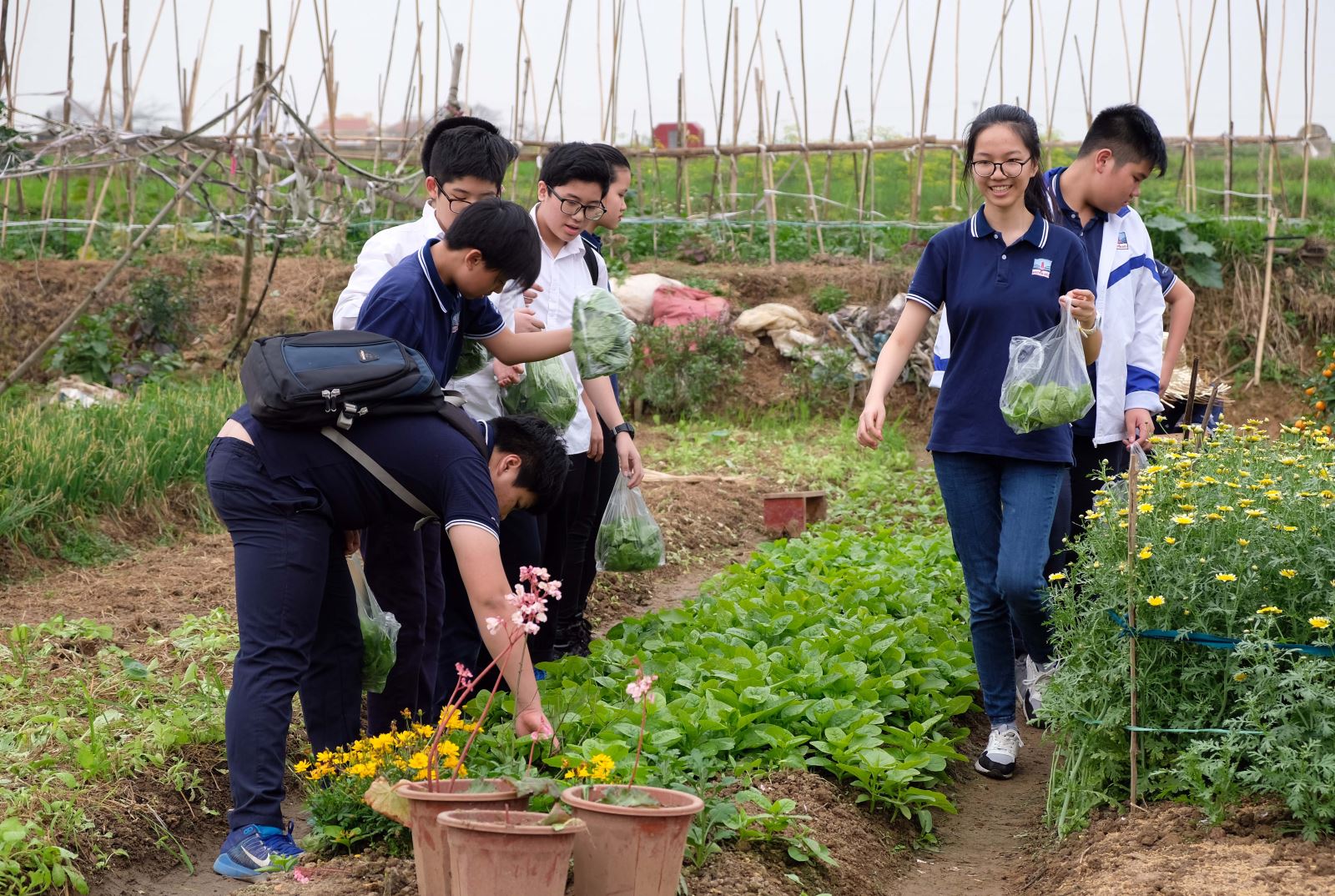 “Nhà nông đua tài” trên đất hai Vua