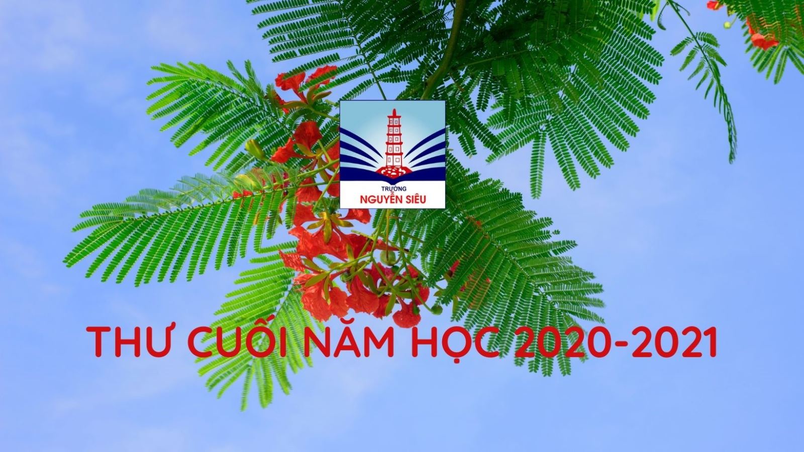 THƯ CUỐI NĂM HỌC