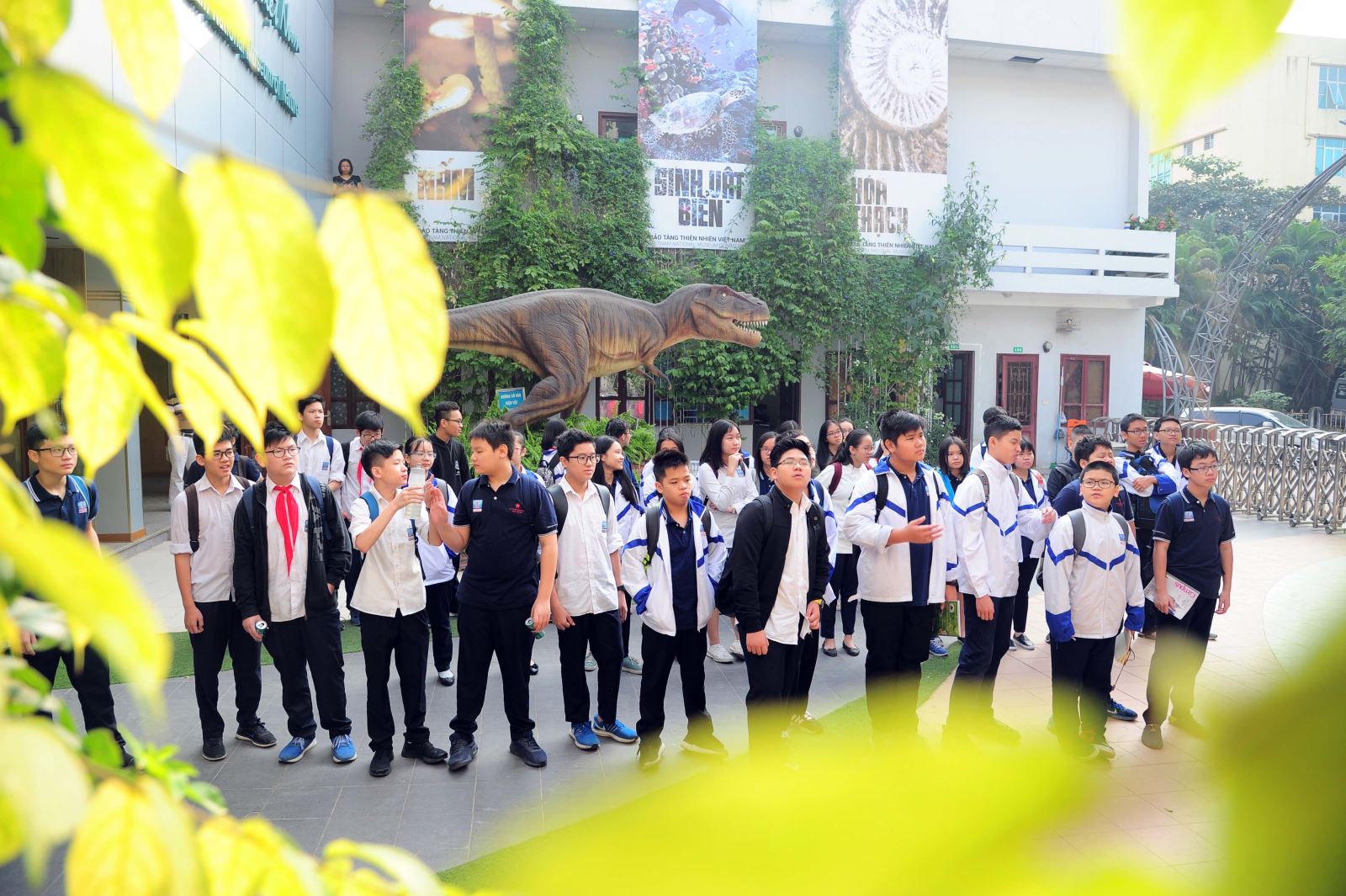 Tìm hiểu về đa dạng sinh học và tiến hoá với bài tập tiếng Anh