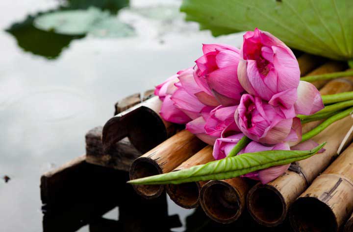 "Từ Nguyễn Siêu, tôi có được hai đứa con biết yêu thương và chia sẻ"